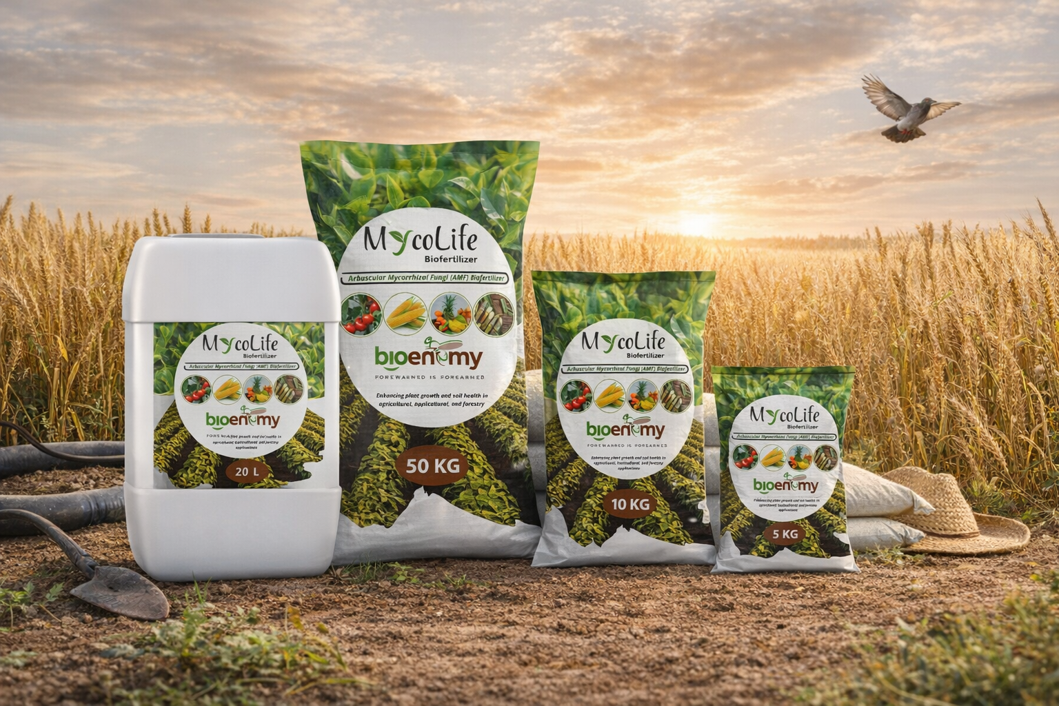 MycoLife