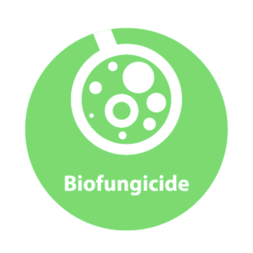 Biofungicides